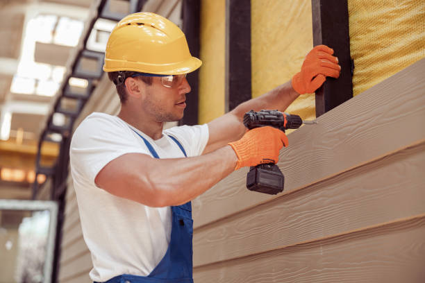 Best Siding Replacement  in Brookdale, CA